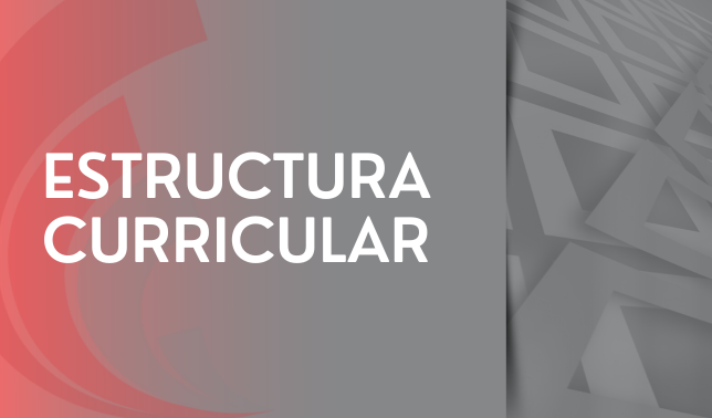 ESP Estrutura curricular