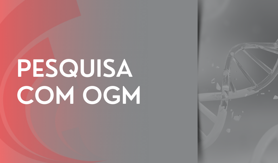 Pesquisa com OGM