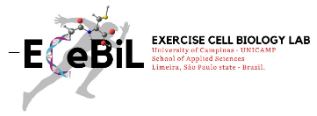 logo ecebil