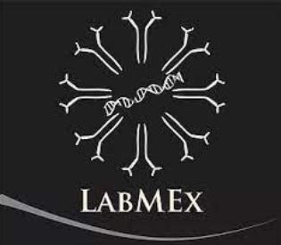 logolabmex