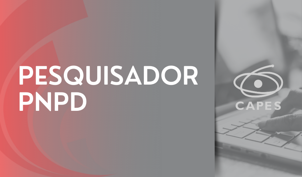 Pesquisador PNPD